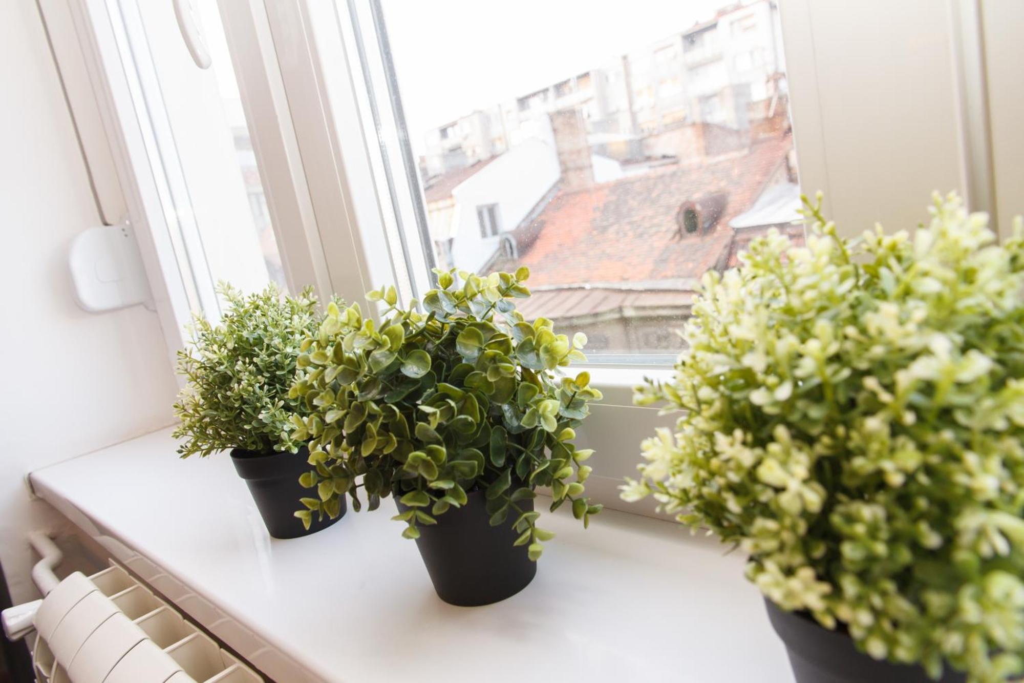 City Break Apartments - City Zen ベオグラード エクステリア 写真